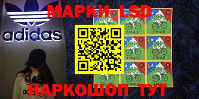 крисы Можга