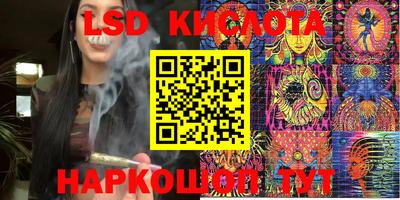 крисы Можга