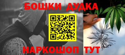 крисы Можга