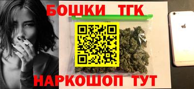 крисы Можга