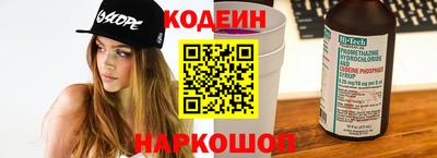 крисы Можга