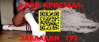 крисы Можга