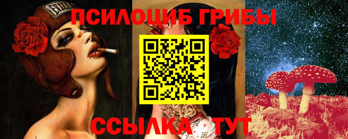 Псилоцибиновые грибы MAGIC MUSHROOMS  Вход с VPN  наркотики  Псилоцибиновые грибы Psilocybine cubensis  Владикавказ 